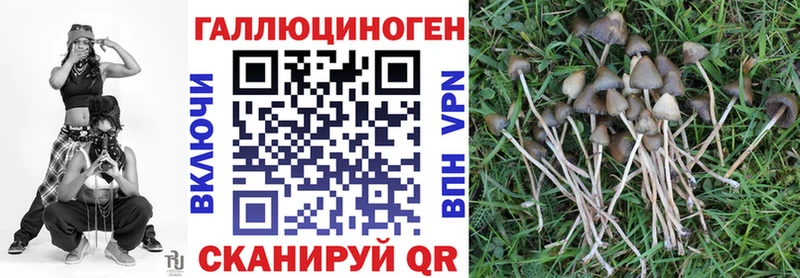 Псилоцибиновые грибы мицелий  Нерчинск 